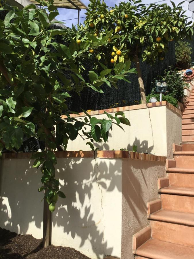 Villa Paradiso, Logement Avec Piscine, Nice Nord Kültér fotó